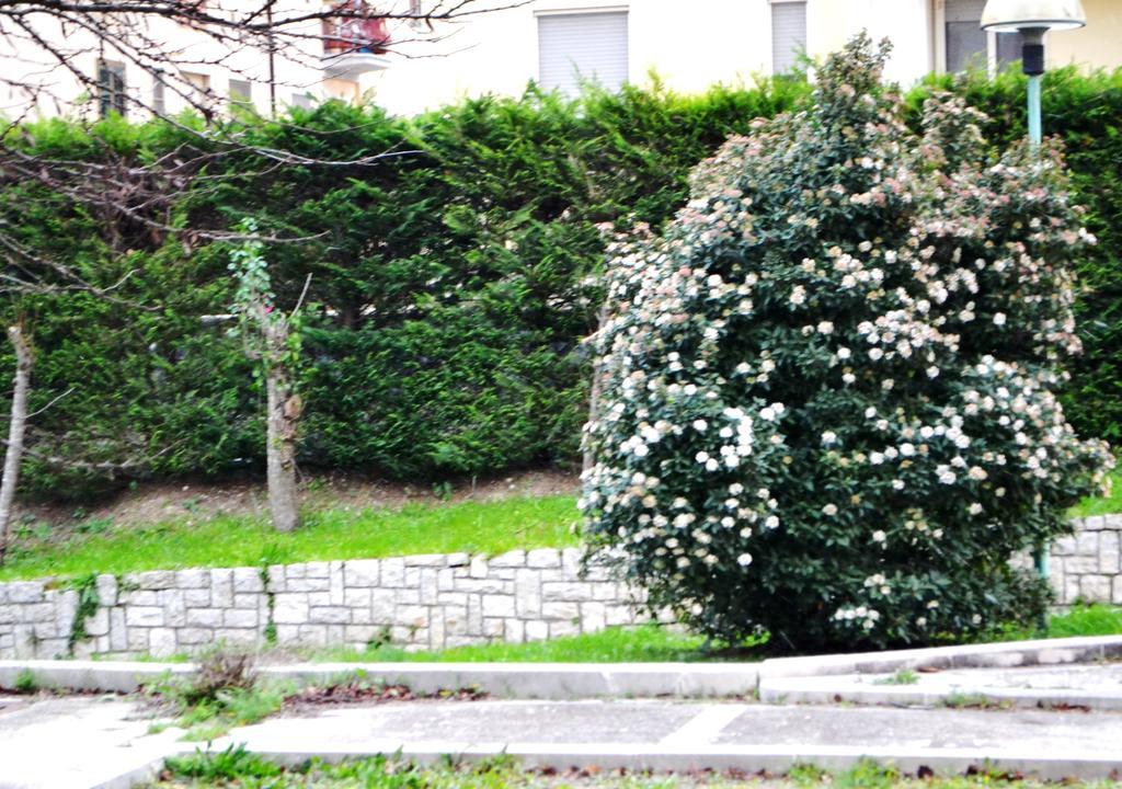 La Casa Di Olga Διαμέρισμα Ματέρα Εξωτερικό φωτογραφία
