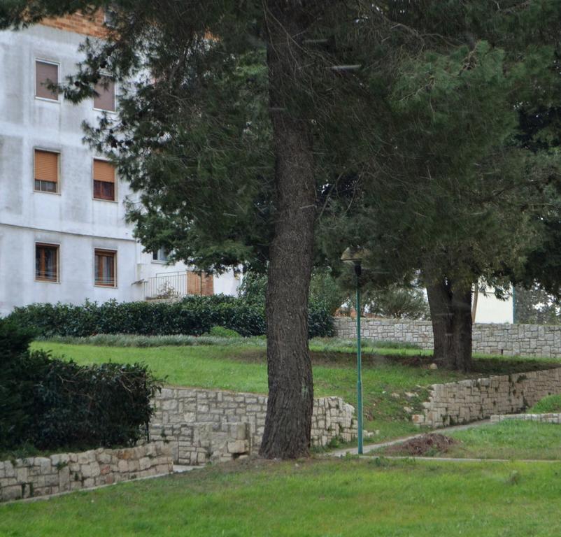 La Casa Di Olga Διαμέρισμα Ματέρα Εξωτερικό φωτογραφία